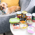 best wet dog food choices