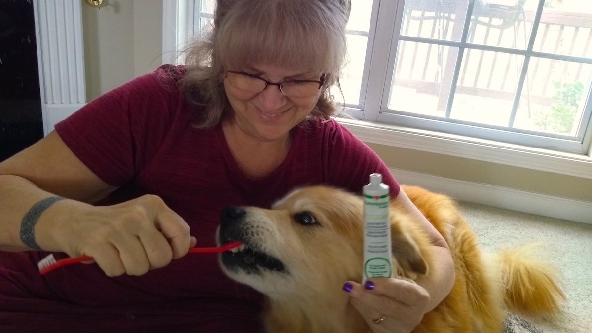 Vetoquinol dog toothpaste