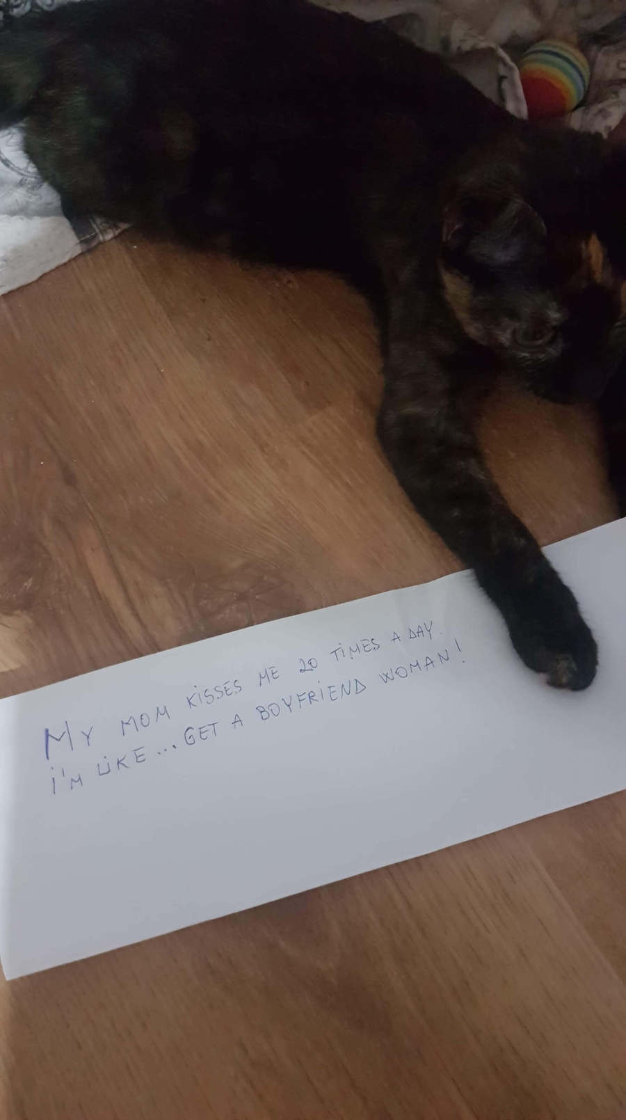 cat sitting next to paper