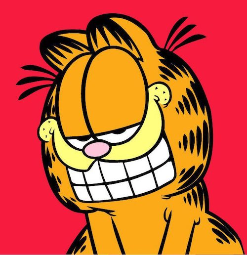 Garfield famous cat