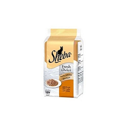 sheba cat food pouches