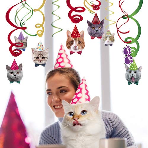 cat party decorations