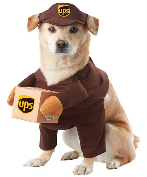 dog costume ups delivery man