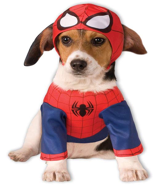 spider man dog costume