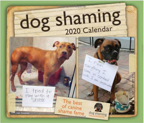 Dog Shaming 2020 Day-to-Day Calendar