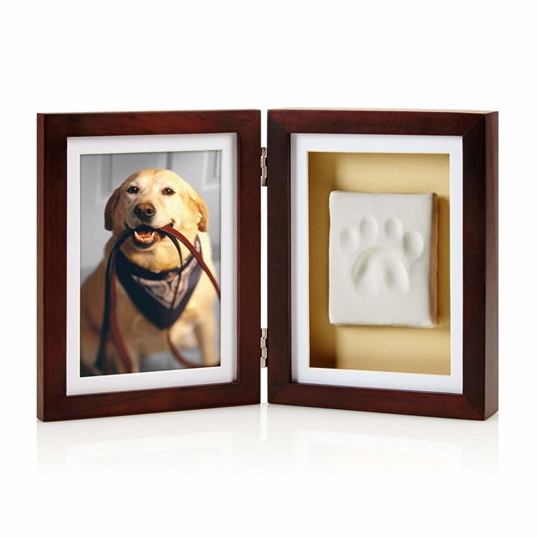 10 Unique Gifts for Pet Lovers with Humor